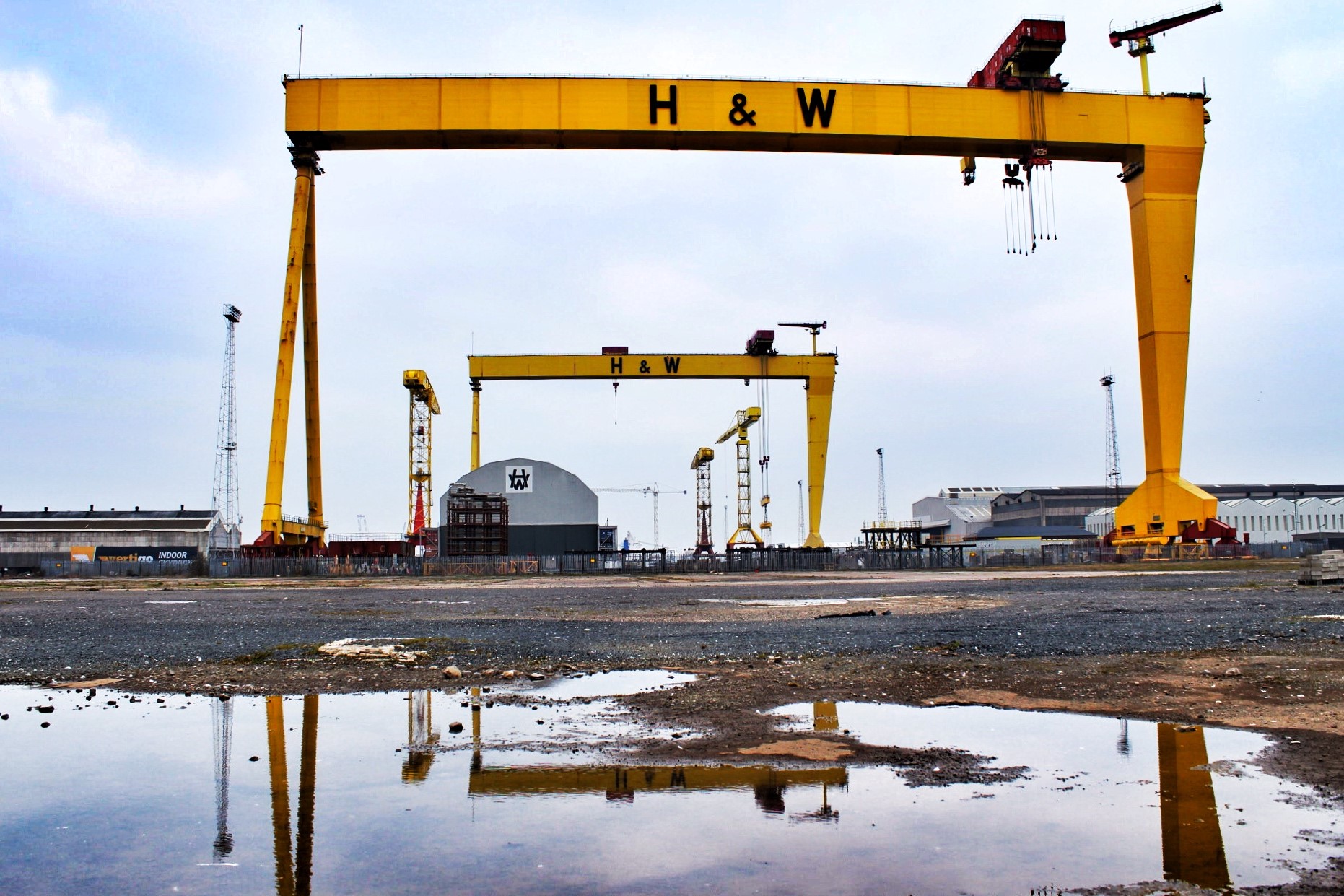 H&W Cranes Credit Rachel Hume