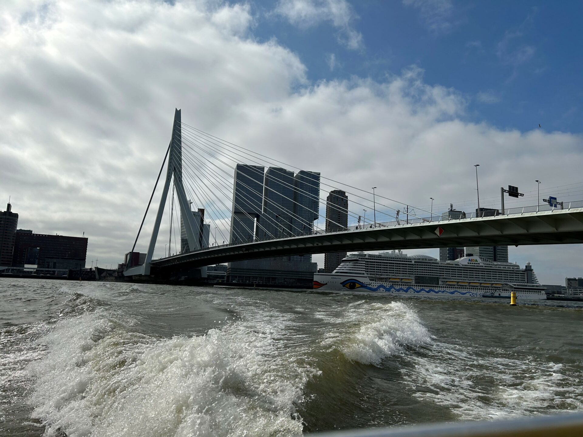 Rotterdam Erasmusburg Bridge