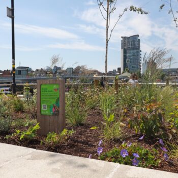 Maritime Mile EXTRA 190625JC052